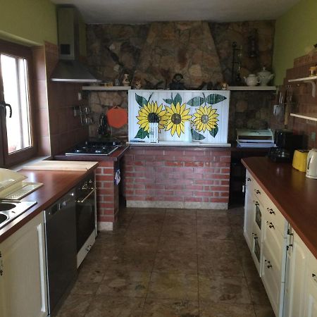 Apartments Tomovic Lumbarda Dış mekan fotoğraf