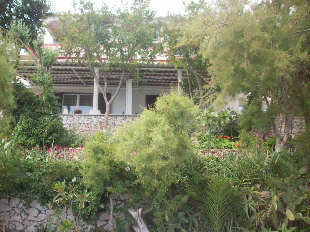 Apartments Tomovic Lumbarda Dış mekan fotoğraf