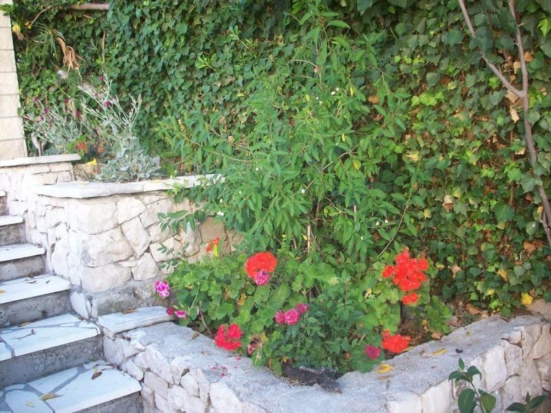 Apartments Tomovic Lumbarda Dış mekan fotoğraf